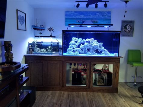 aquariumforum|best aquarium forums.